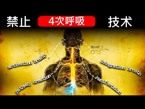 神经科学家禁止这种四次呼吸技术（他们不想让你知道的表现技巧）