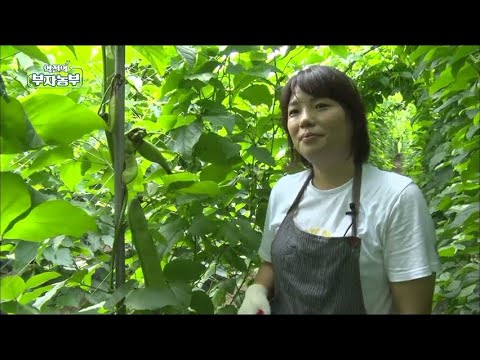 [107회] '무농약 작두콩'으로 연매출 4억!