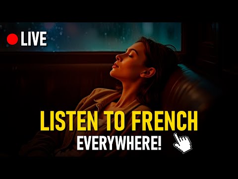 French for Beginners: Build Your Vocabulary with These Phrases (Listen Daily!)