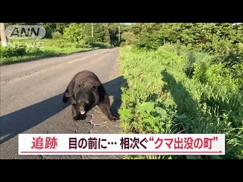 “クマ出没の町”相次ぐ　目の前に遭遇…「8頭同時侵入」も　カメラが捉えた一部始終【Jの追跡】(2023年11月4日)