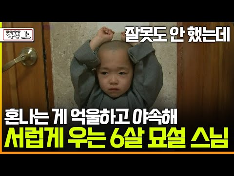 [멜로다큐 '가족' 273회 上] 잘못도 안 했는데 혼나는 게 억울하고 야속해 서럽게 우는 6살 묘설 스님