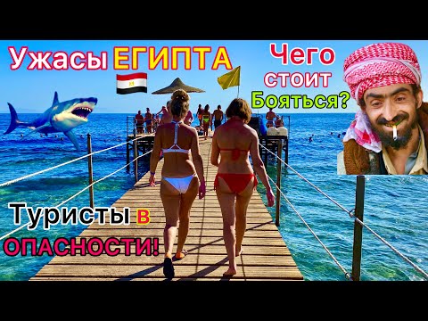 SCARY Egypt 🇪🇬 BEWARE❗️ What are tourists AFRAID of on holiday in Egypt? Egyptian HORRORS