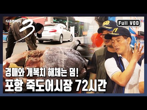 [다큐3일★풀버전] 푸른 바다의 '싱싱함'이 이곳에 모인다! 동해안 최대 어시장 "경북 포항 죽도어시장" 72시간~ (KBS 20170813 방송)