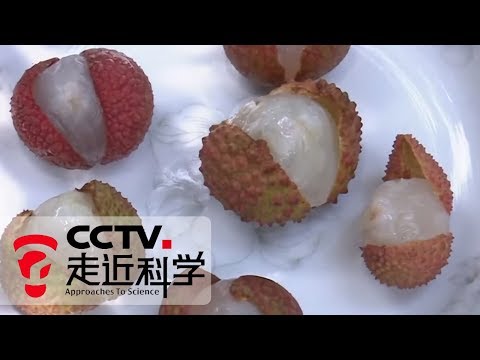 《走近科学》 冷链保鲜 20190905 | CCTV走近科学官方频道
