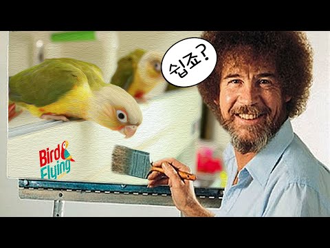 [그린칙코뉴어] 코뉴어 키우는 방법을 알려드립니다! 코뉴어 키우기 참 쉽죠??