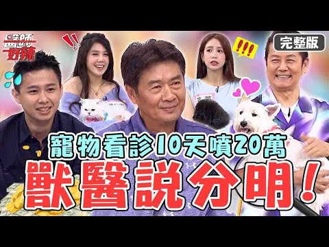 新片✨獸醫師說分明！寵物看診10天噴20萬？女星愛犬「生殖器」掉出來嚇歪結局超爆笑！【#醫師好辣】20230528 完整版 飼主比寵物毛還多 EP1535 楊靜宇  殷碩韓