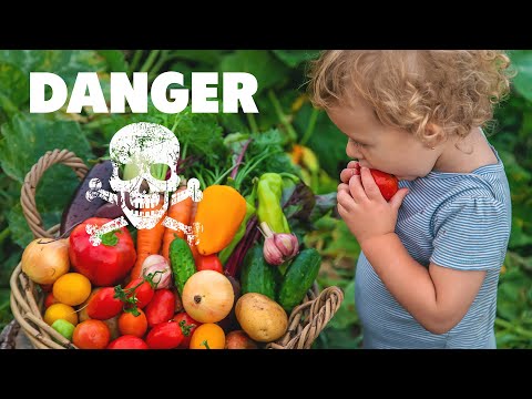 The Hidden DANGER of Pesticides in Your Diet