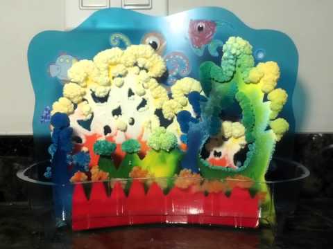 Growing Crystals [time-lapse movie]