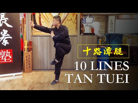 Changquan Shu Master Han Ji Xiang’s “10 Lines Tan Tuei” 「長拳塾」韓基祥老師「十路潭腿」