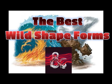 The best Wild Shape forms for your Moon Druid: D&D 5e