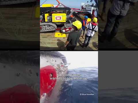 The future of deep-sea mining?