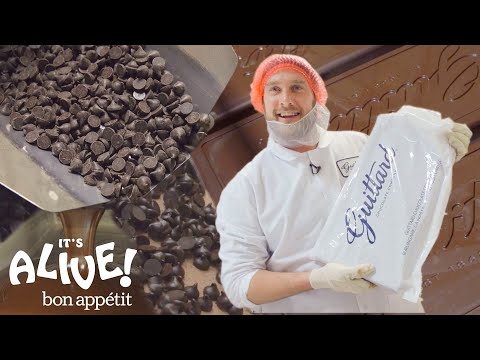 Brad Makes Chocolate: Part 2 | It's Alive | Bon Appétit