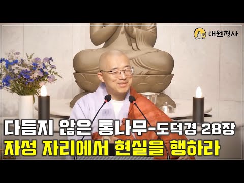 [69] 자성 자리에서 현실을 행하라, 다듬지 않은 통나무 - 도덕경 28장 강의
