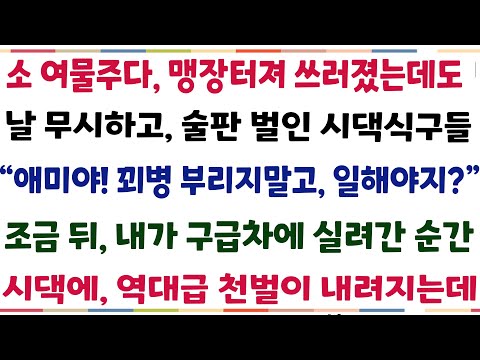 (반전신청사연)소여물주다 맹장터져 쓰러졌는데도 날무시하고 술판벌인 시댁식구들 "애미야 꾀병부리지 말고 일해야지?" 조금뒤 내가 병원에 실려간 순간[신청사연][사이다썰][사연라디오]