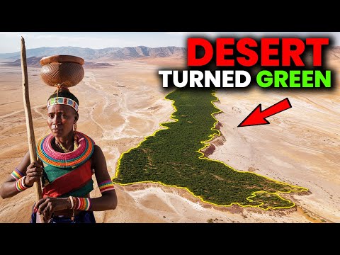 They Restored a Desert Without Planting a Single Tree