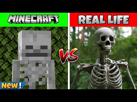 Minecraft Satisfying Mobs vs Real Life | Minecraft Characters in Real Life!