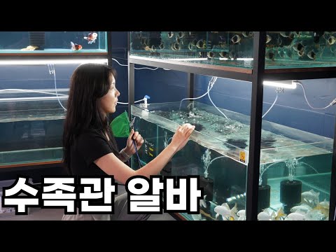 수족관 알바생들이 그만두는 이유(물뽀의 수족관 알바체험)