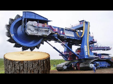 Amazing Fast Stump Removal Excavator Is So Satisfy, Stump Grinding Machines & Wood Crusher Working