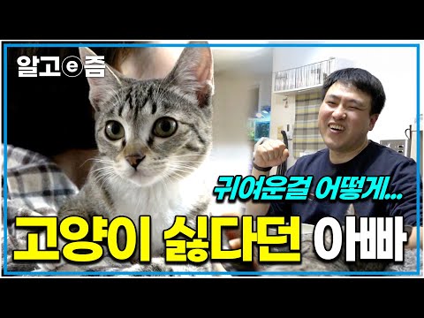 "누구보다 적극적이죠 ㅋㅋ" 고양이 반대하더니 이제는 누구보다 고양이를 좋아하게 된 아빠의 행복한 미소｜고양이를 부탁해｜알고e즘