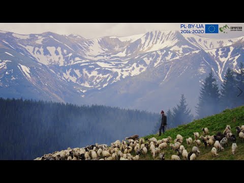 Close to the sun: sheep breeding traditions