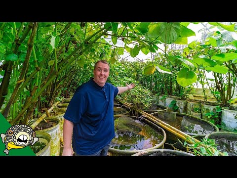 You've Never Seen This Before. [Tour]