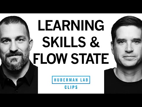 How to Practice, Build Skills & the Role of Flow State | Dr. Cal Newport & Dr. Andrew Huberman