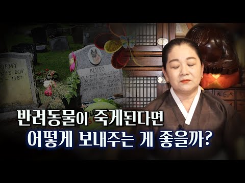 (용한점집)'반려동물을 키운다면 필수시청영상', :반려동물이 죽게되면 어떻게 보내주는 게 가장 좋은 방법일까?: