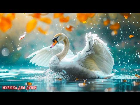 ТАКОЙ МУЗЫКИ ТЫ ЕЩЕ НЕ СЛЫШАЛ! СУПЕР СБОРНИК!ВЕЛИКОЛЕПНАЯ ИНСТРУМЕНТАЛЬНАЯ МУЗЫКА. КРАСИВЫЕ#музыка