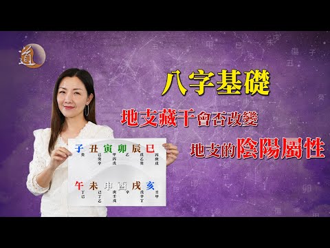 八字基礎〡地支藏干會否改變地支的陰陽屬性？教你如何真正分地支陰陽