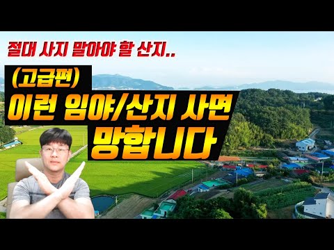 (고급정보) 임야 산지 절대 사면 안되는 조건 아셔야 합니다 이것만이라도 체크하세요-부동산재테크 전원주택 펜션 토지 전문 프로공인중개사/건축기사