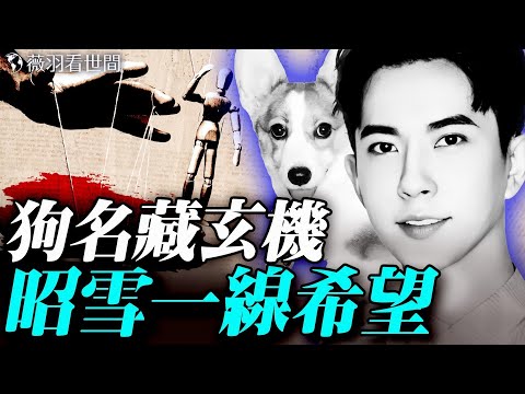 朦朧早就被控制，狗狗名字已暗示；10月還有最後一線申冤機會；陪酒、下藥、潛規則、賠償金，娛樂公司簽約黑幕。｜薇羽看世間 20250927