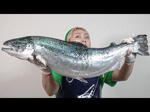 통 연어 한 마리를 해체 해보자!!🐟 연어손질 A 부터 Z까지 ! 🍯꿀팁도 다 알려드림!