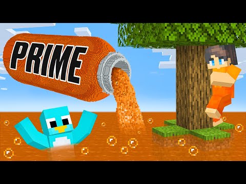 PRIME Rises Every Minute!