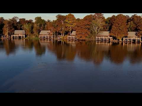 Lake Faussee Point State Park | Aerial Video | LA64