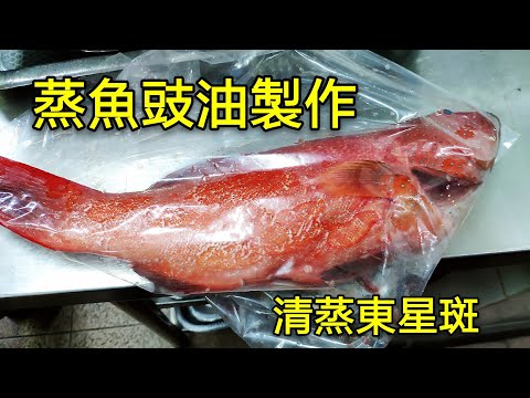 〈 職人吹水〉  蒸魚豉油 怎樣調配 ？就係咁簡單 清蒸東星斑Steamed Fresh Red Spotted Garoupa