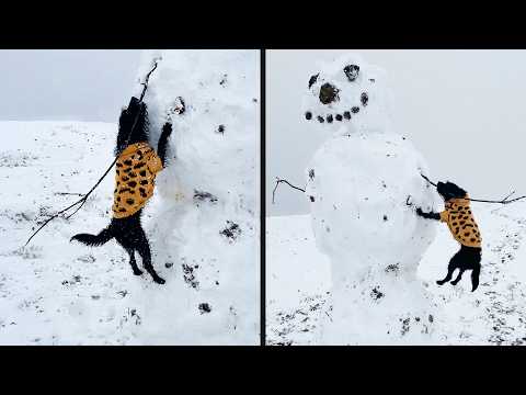 He Really Wanted That Stick