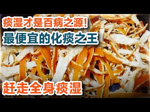 痰湿才是百病之源！它的皮是化痰之王 赶走全身痰湿【养生大讲堂11】