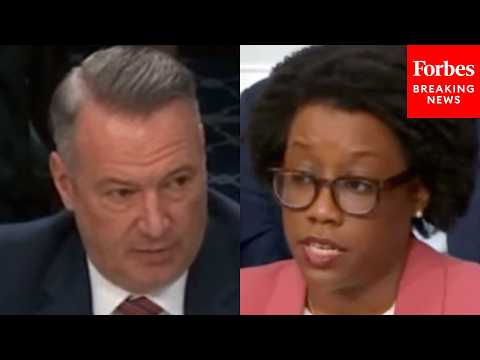 'How Many People Have Died In ICE Custody On Your Watch?': Underwood Mercilessly Grills ICE's Lyons