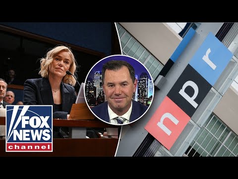 NPR CEO was a 'human Chernobyl' at hearing, critic says