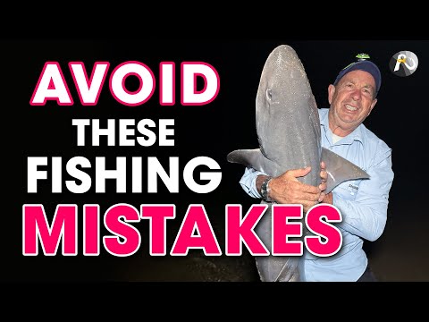 HUGE Gummy Shark! - From The Beach