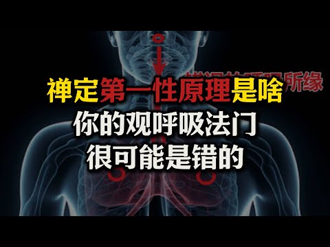 进入禅定的“第一性原理”是啥？大部分人的观呼吸法门很可能练错了！真正的观呼吸法门是啥？#佛法#禅定#观呼吸#安般念#第一性
