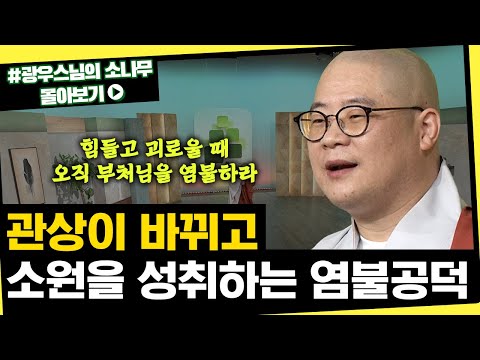 염불공덕이 가져다 주는 신비한 일 [초심으로 돌아가는 광우스님의 소나무 시즌3 몰아보기]
