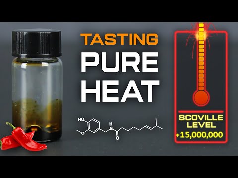 Extracting Capsaicin From Pepper X to Make the World's Hottest Sauce