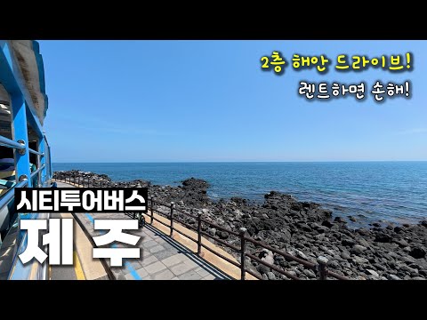 The perfect way to travel downtown Jeju! Jeju City Tour Bus