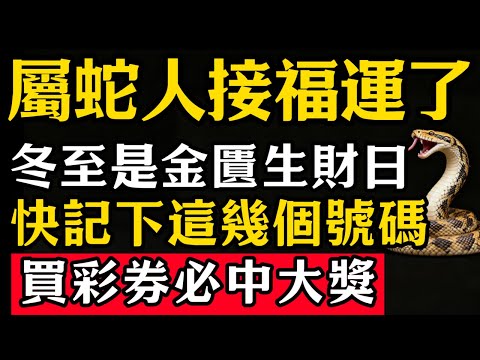 生肖蛇必看！明天12月21號冬至，農曆十一月初二「金匱生財日」，偏財運旺，這4個數字一定要記牢，買彩券可中大獎，幸運連連！#張天師道法#屬相運勢#生肖#家運#生肖運勢的那些事#先知#風水變化#提升運勢