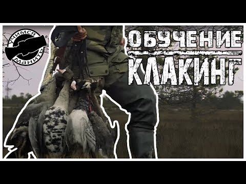 Охота на гуся Новое видео Обучение Клакинг