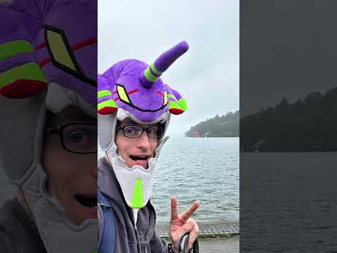 2025 Year in Review!!! 