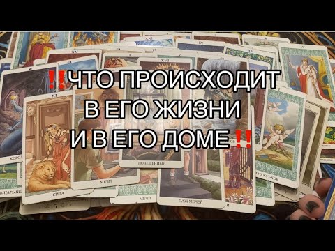 ‼️What's going on in His House‼️What's going on with His Wife‼️What's going on in His Life‼️#taro...