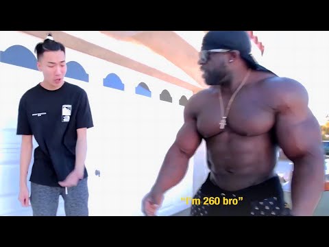 When Dumb Bodybuilders Attack MMA Fighters! Best Compilation!