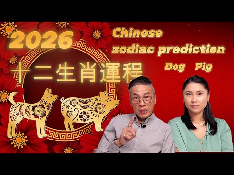 [2026十二生肖][Chinese horoscope 2026][馬年][丙午][狗][豬][dog][pig]
